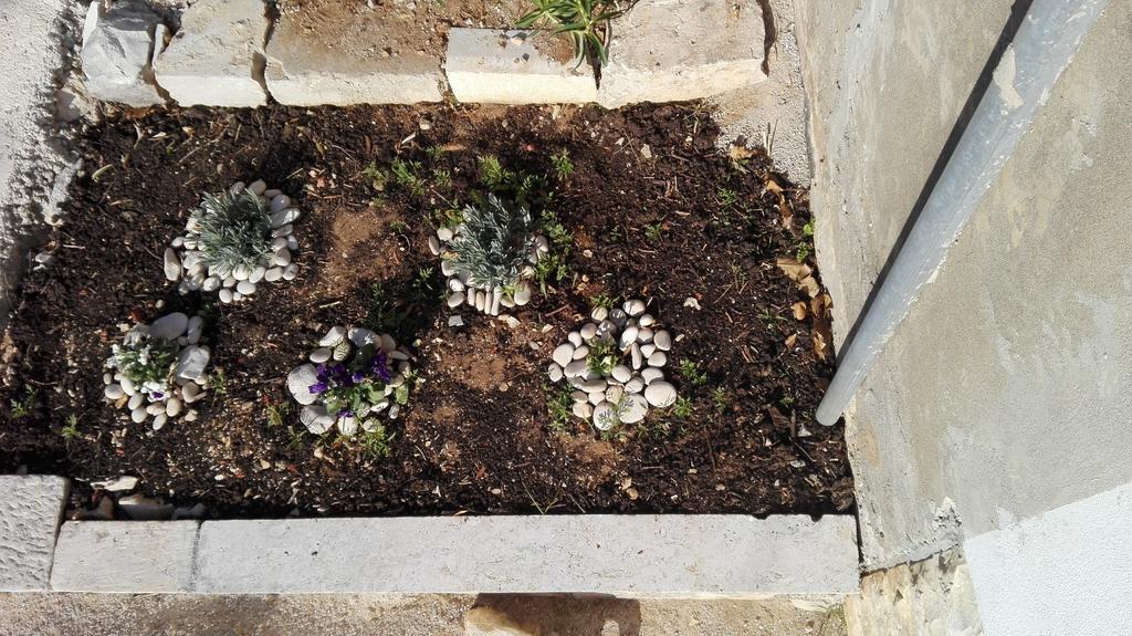 לומבארדה Apartment Deni מראה חיצוני תמונה